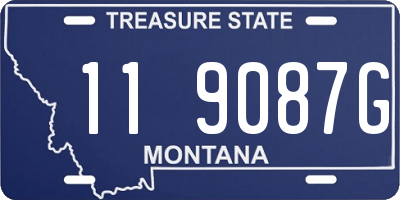 MT license plate 119087G
