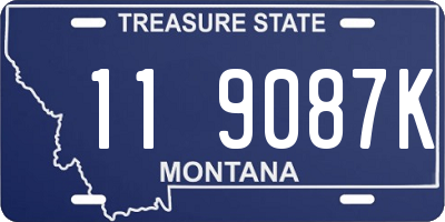 MT license plate 119087K