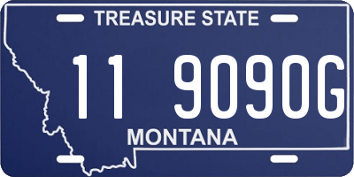 MT license plate 119090G