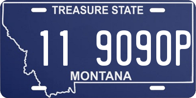 MT license plate 119090P