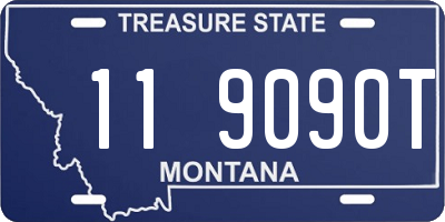 MT license plate 119090T