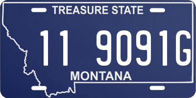 MT license plate 119091G