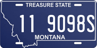 MT license plate 119098S