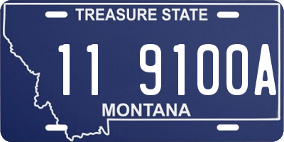 MT license plate 119100A
