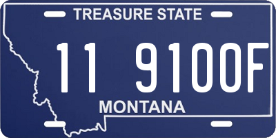 MT license plate 119100F
