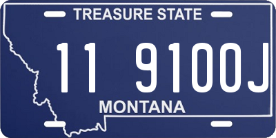 MT license plate 119100J