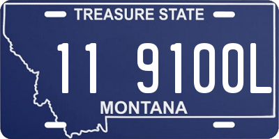 MT license plate 119100L