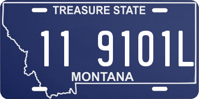 MT license plate 119101L