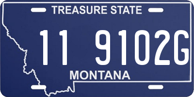 MT license plate 119102G