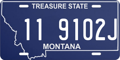 MT license plate 119102J