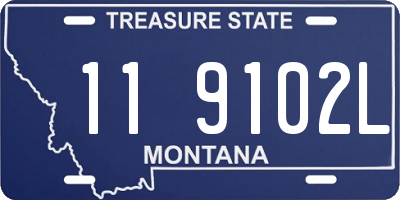 MT license plate 119102L