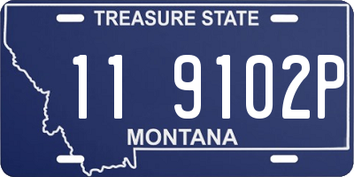 MT license plate 119102P