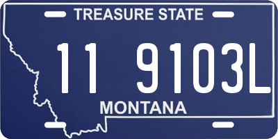 MT license plate 119103L