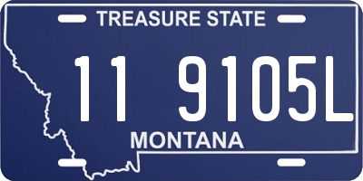 MT license plate 119105L