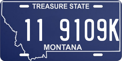 MT license plate 119109K