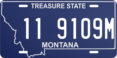MT license plate 119109M
