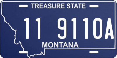 MT license plate 119110A