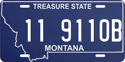 MT license plate 119110B
