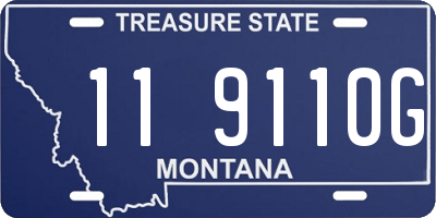 MT license plate 119110G