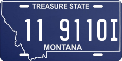 MT license plate 119110I