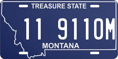 MT license plate 119110M