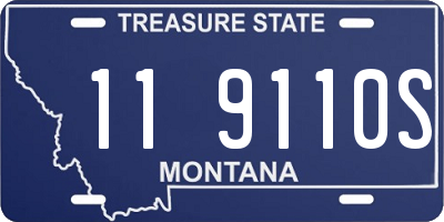 MT license plate 119110S