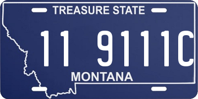 MT license plate 119111C