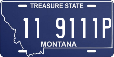 MT license plate 119111P