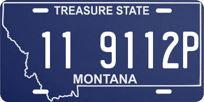 MT license plate 119112P