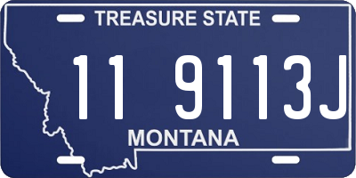 MT license plate 119113J