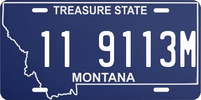 MT license plate 119113M