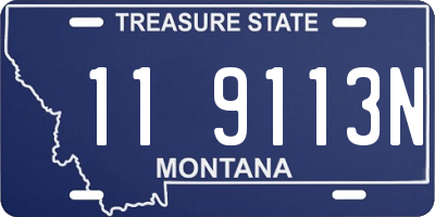 MT license plate 119113N
