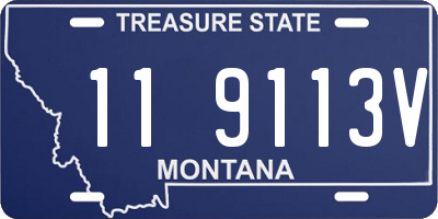 MT license plate 119113V