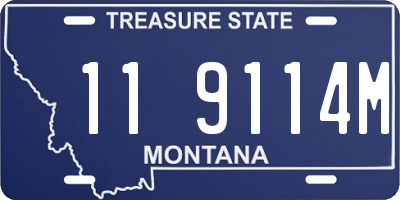 MT license plate 119114M