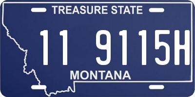 MT license plate 119115H