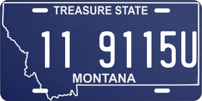 MT license plate 119115U