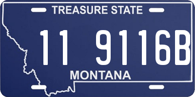MT license plate 119116B