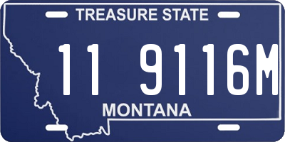 MT license plate 119116M