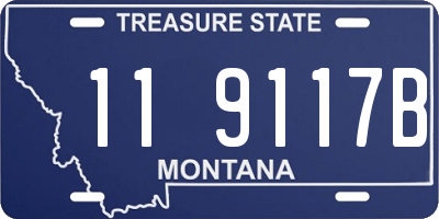 MT license plate 119117B