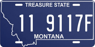 MT license plate 119117F