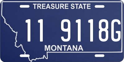 MT license plate 119118G