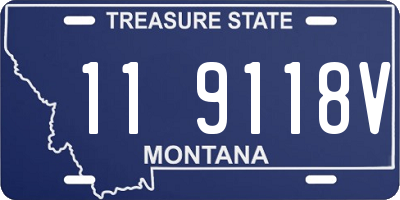 MT license plate 119118V
