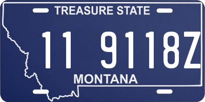 MT license plate 119118Z