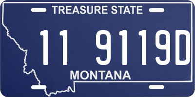 MT license plate 119119D