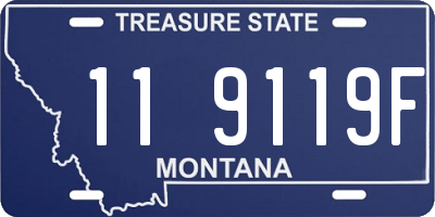 MT license plate 119119F