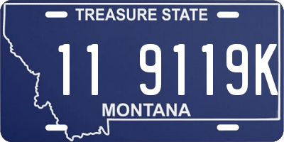 MT license plate 119119K