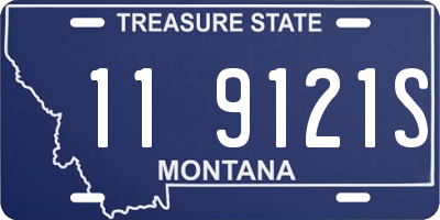 MT license plate 119121S