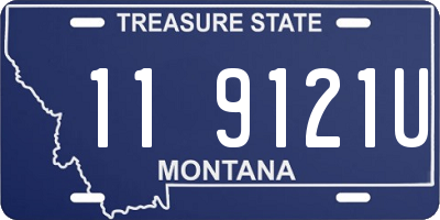 MT license plate 119121U