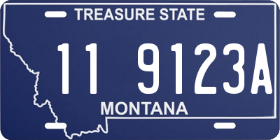 MT license plate 119123A