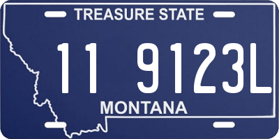 MT license plate 119123L